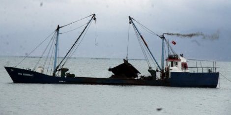 Devlet seyrediyor, kum hırsızları çalıyor