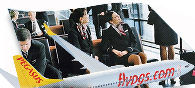 Pegasus, 44 pozisyon için personel alacak