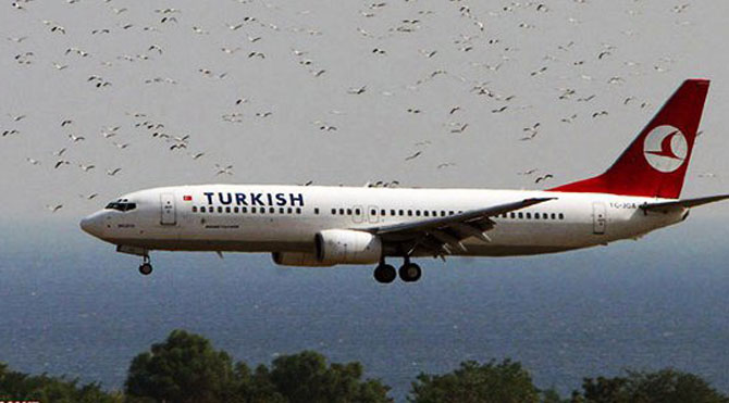 THY uçağına kuş çarptı