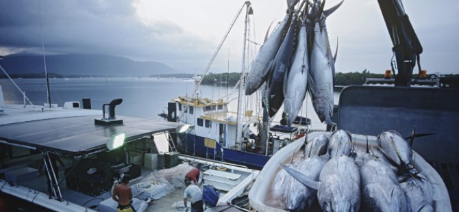 Denizden balık değil, plastik tutuyoruz
