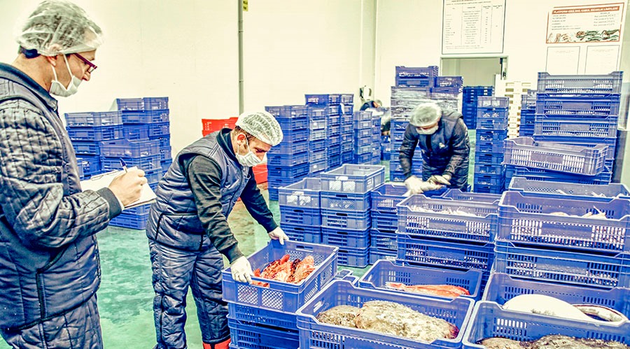 Havayoluyla soğuk zincir ihracatına navlun desteği