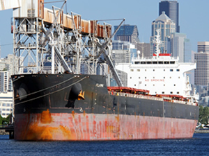 Cerrahgil'e ait M/V FLAMA gemisi satıldı