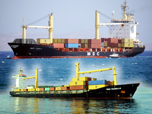 Medlog Denizcilik filosuna iki gemi daha kattı