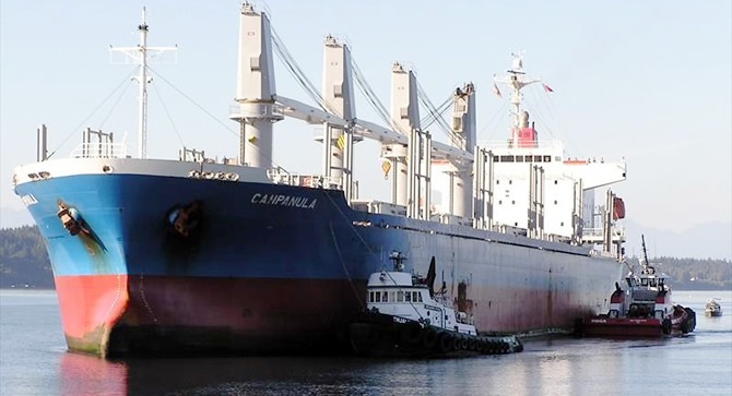 Japon kuruyük gemisi Türk alıcının oldu