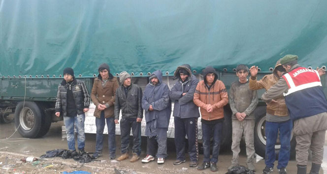 Kaçak göçmen bulunan araca el konulacak