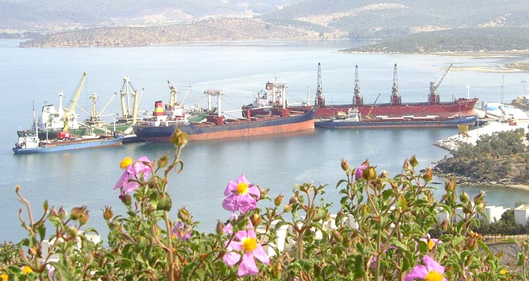 Güllük Liman Sahası özelleştiriliyor