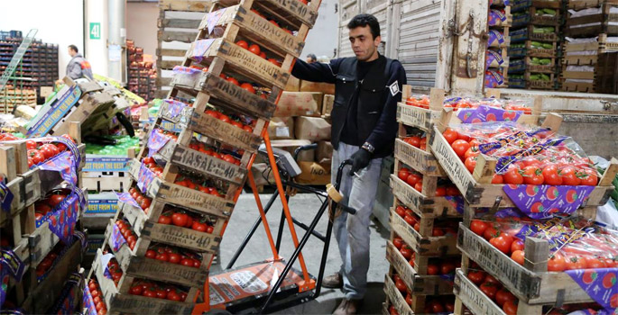 Meyve-sebzede "soğutuculu taşımacılık" zorunlu oluyor