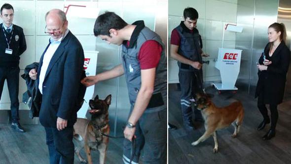 Biz de Avusturyalı yolcuları köpeklerle aradık