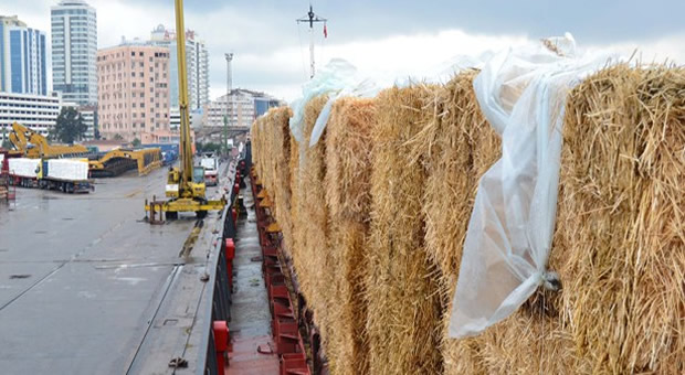 Saman taşıyan gemiler 'hava'ya takıldı