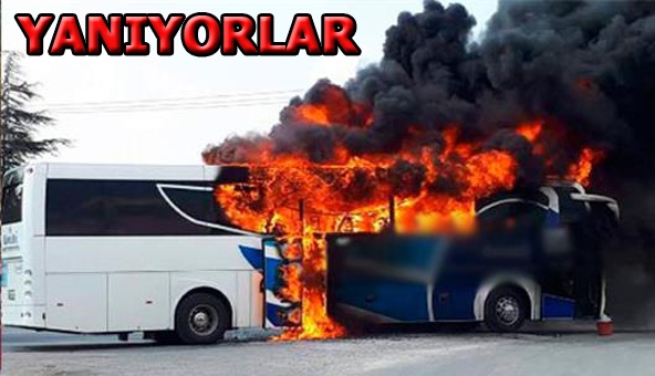 18 günde 11 otobüs 10 numara yağ kurbanı
