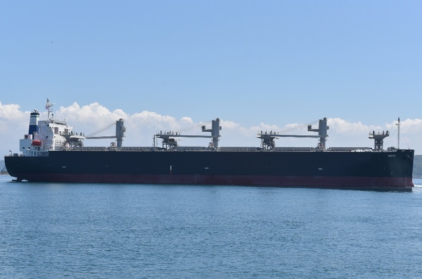 Kastamonu Entegre yeni gemisini teslim aldı