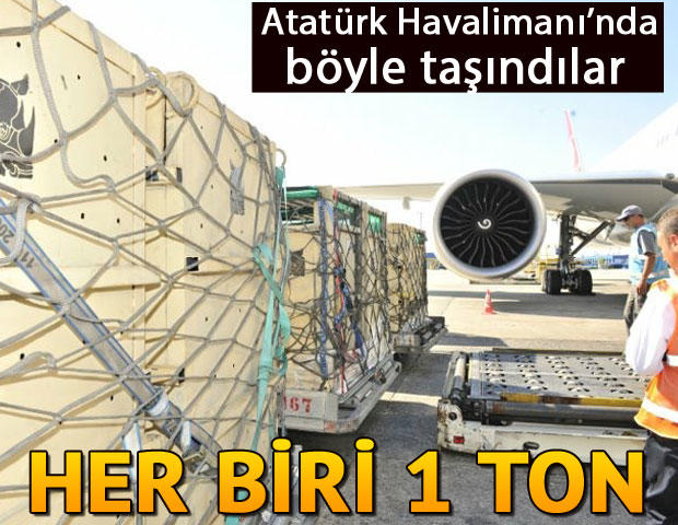Turkish Cargo 5 beyaz gergedanı Çin'e taşıdı