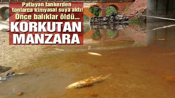 Tanker çaya devrildi: Balıklar ölüyor