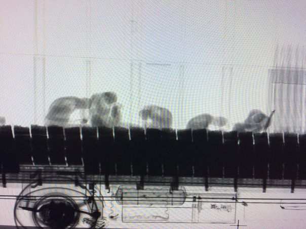 Treylerden alüminyum folyoya sarılı göçmenler çıktı