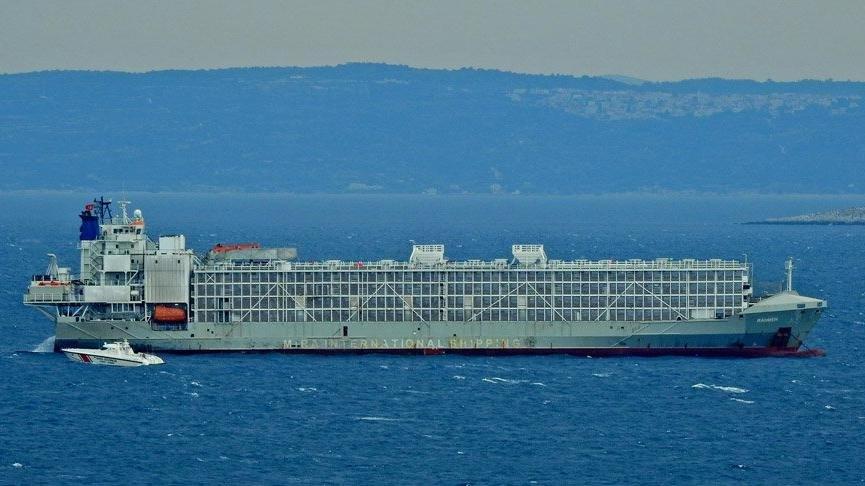 Şarbonlu hayvanlar öğütülerek Marmara'ya dökülüyor