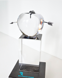 Renault ve Dacia’ya Kristal Elma’dan 8 ödül