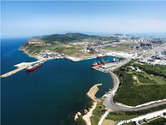 Petkim'den 300 milyon $'lık imza