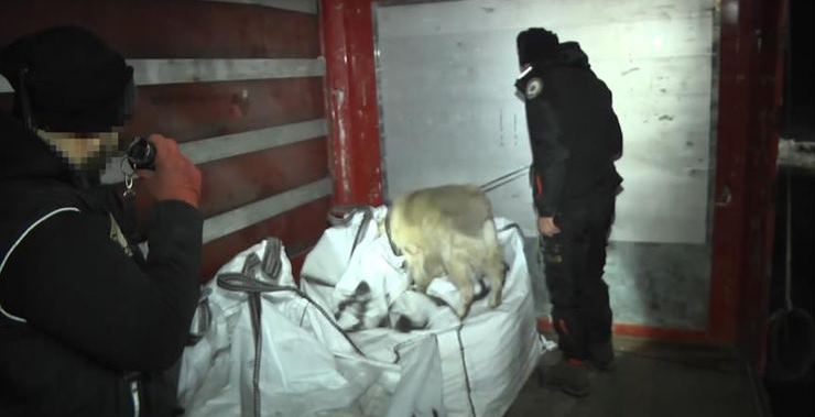 Bu TIR'da en büyük eroin operasyonu gerçekleştirildi