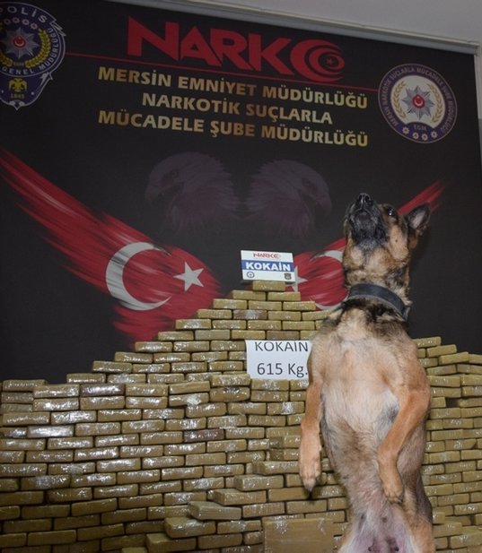 Mersin Limanı'nda muz konteynerinde uyuşturucu