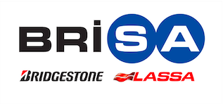 Brisa'dan rekor büyüme