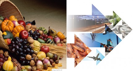 Gıda Lojistiğinde Blockchain Etkisi