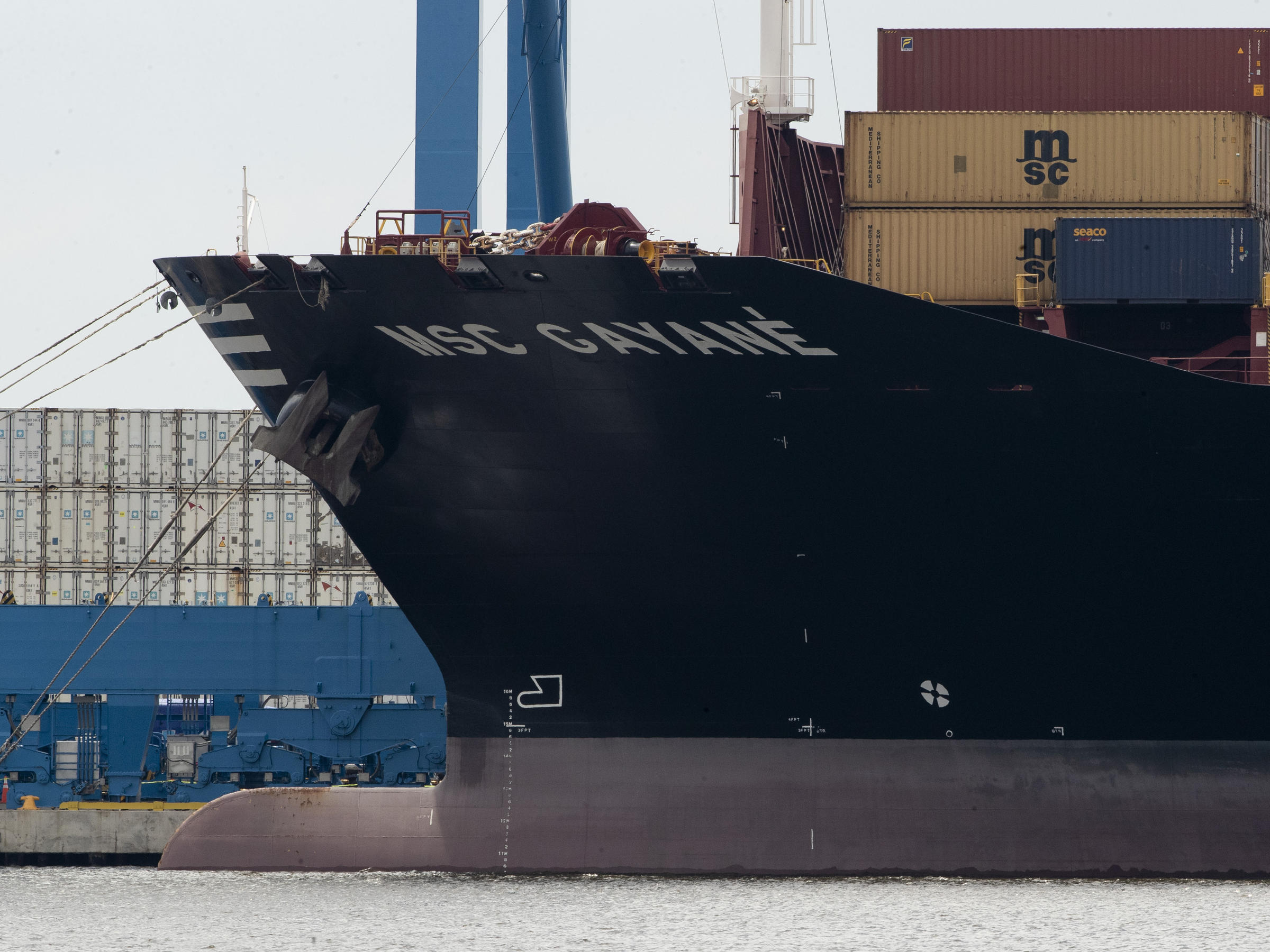 MSC loses ‘C-TPAT’ status after $1bn drugs seizure
