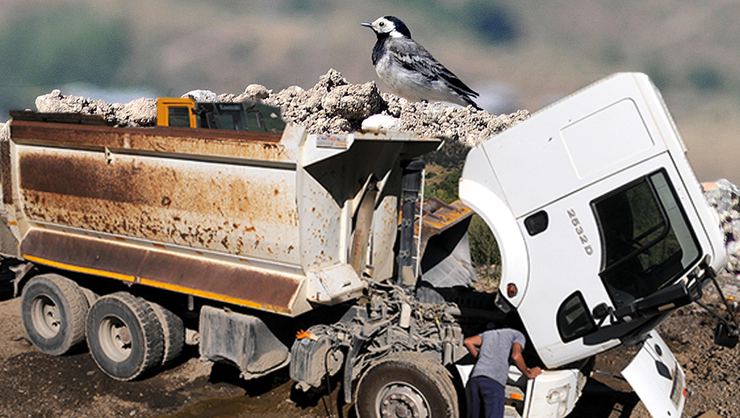 İşte bu da "kamyoncu" hassasiyeti