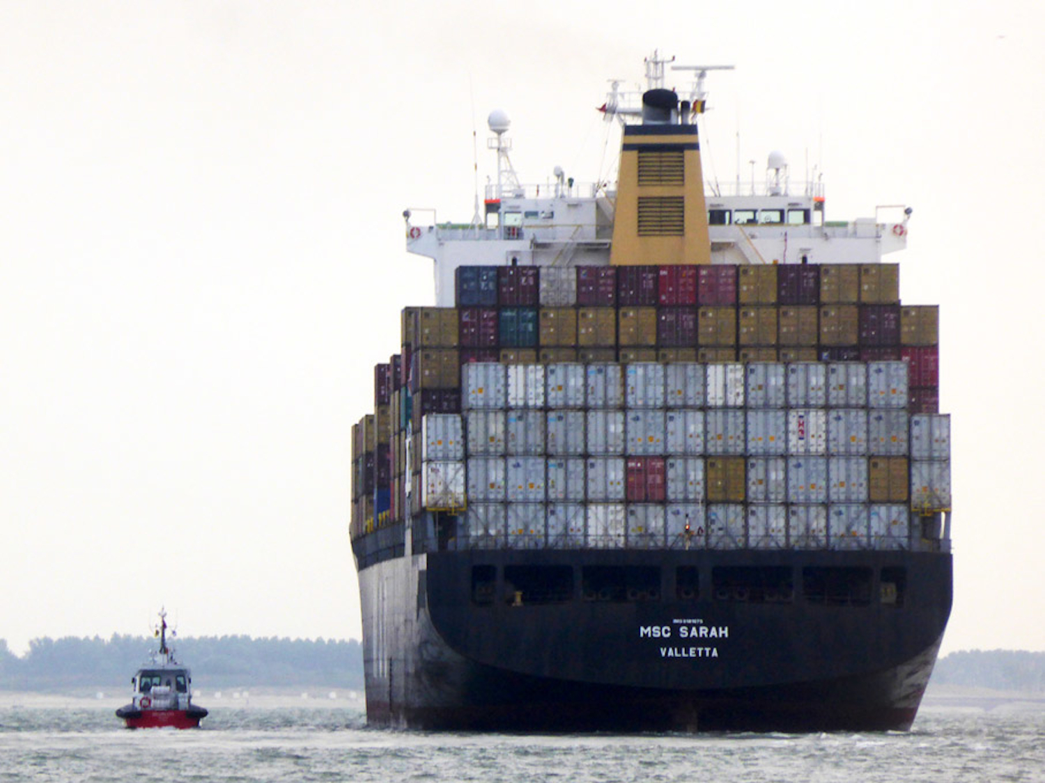 MSC, K. Avrupa ve İngiltere limanlarını Tekirdağ’a bağlıyor