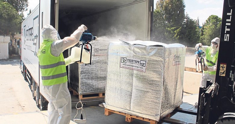Yeditepe Lojistik'ten 120 ülkeye hijyen dersi