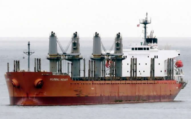 Japon kuruyük gemisi, Türk şirketine satıldı