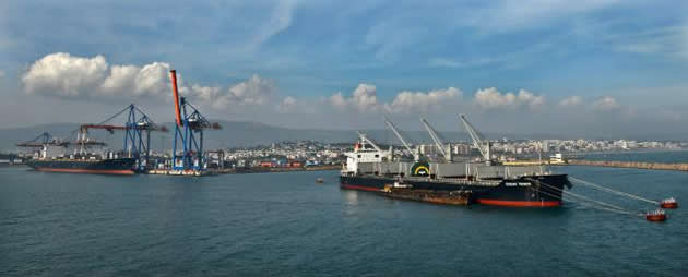 VPT elleçleme tesisine ortak arıyor