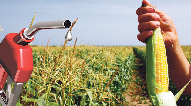 Motorinde biyodizel zorunluluğu kaldırıldı