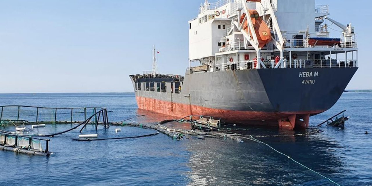 Yük gemisi havuzu yırttı yüz binlerce balık kaçtı