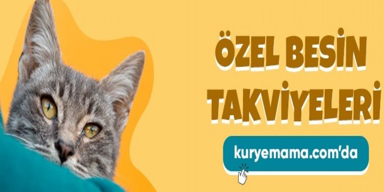 Evcil Pet Shop Marka ürünleri ile ND Kedi Köpek Mamalarını Güvenli Alışveriş