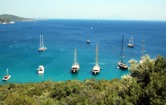 Belediye kiraladığı limandan zarar etti