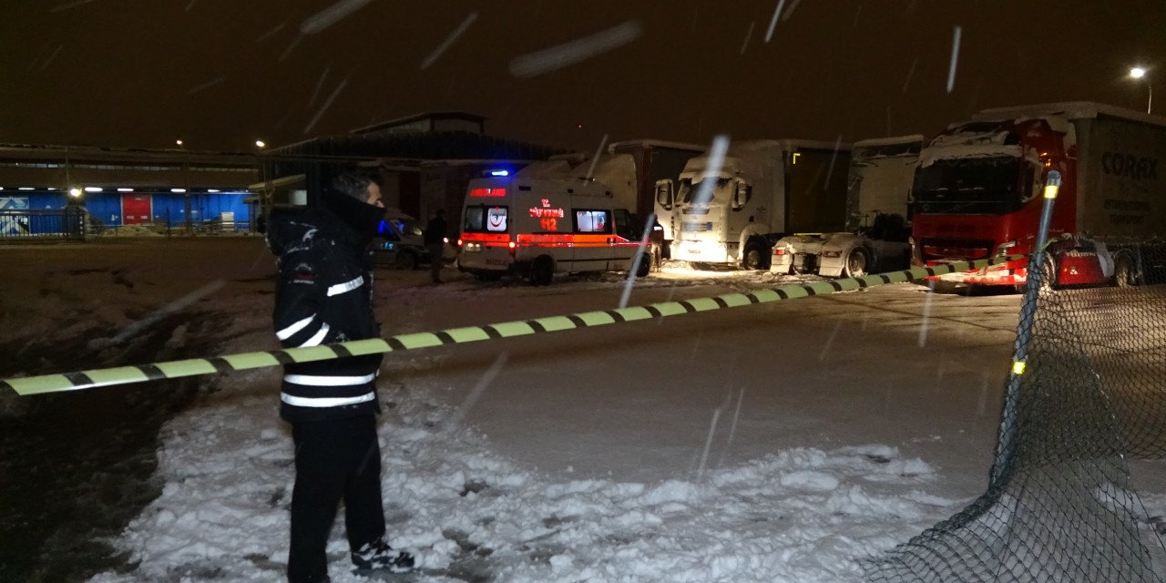 2 çocuk babası TIR sürücüsü aracında ölü bulundu