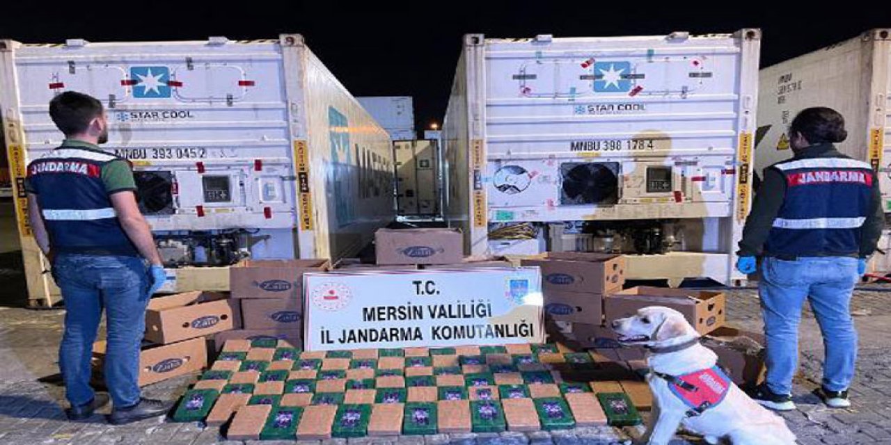 Mersin Limanı'nda 258 kilo uyuşturucu yakalandı