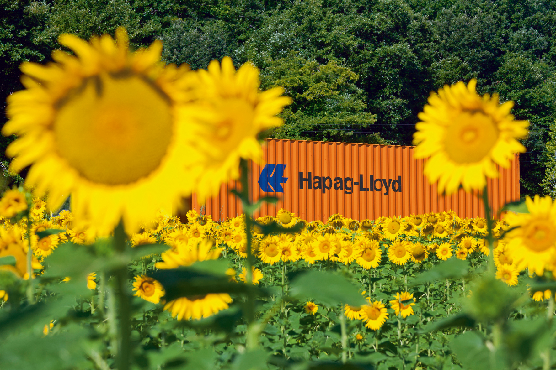 Hapag-Lloyd Denizaşırı’dan yeni servisler