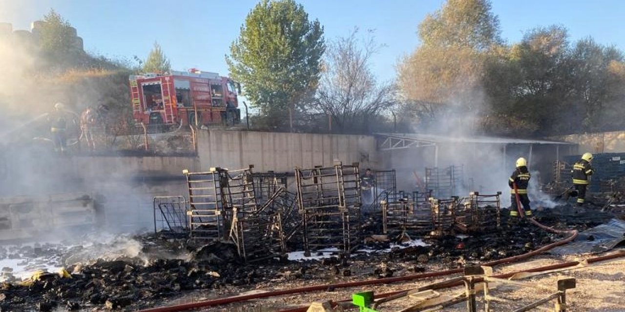Uluslararası firmaya ait lojistik deposu kül oldu
