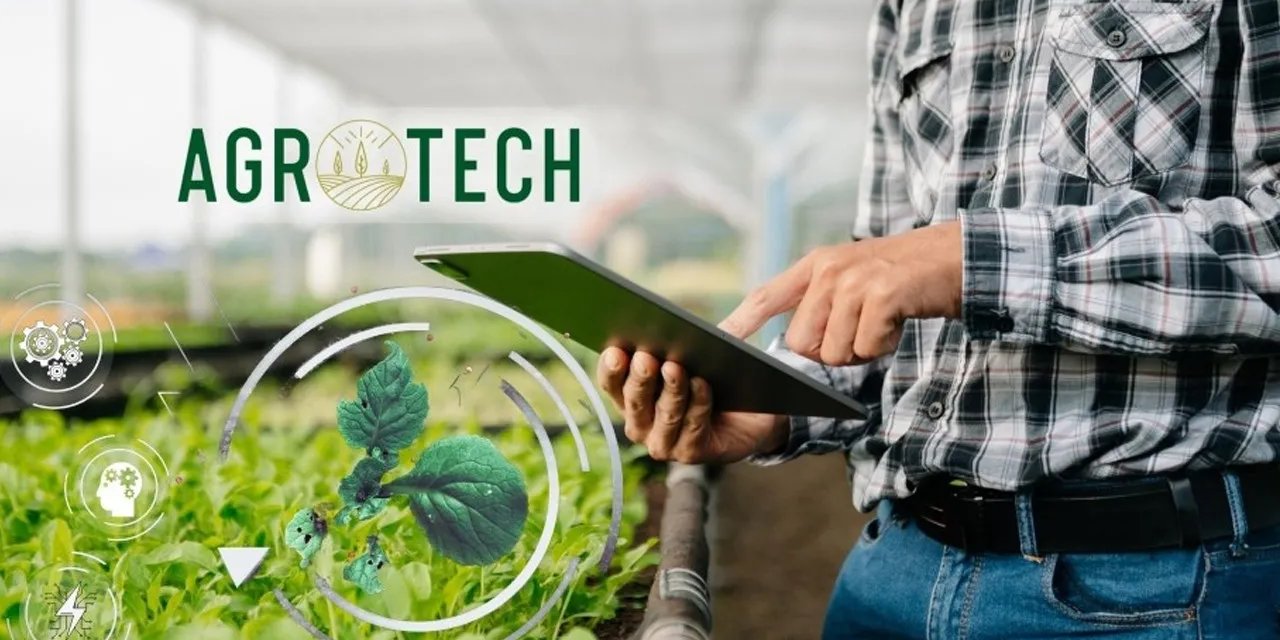 Agrotech, Ayazağa Depoculuk'u satın aldı