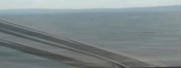Kaptanın dikkati onlarca leyleği ölümden kurtardı