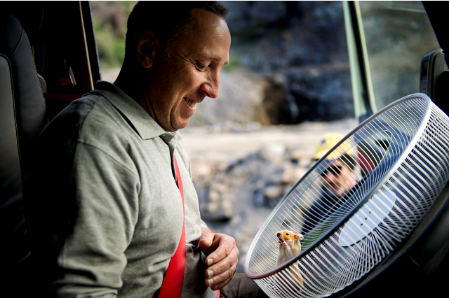 Bir hamster Volvo kamyon kullanırsa...