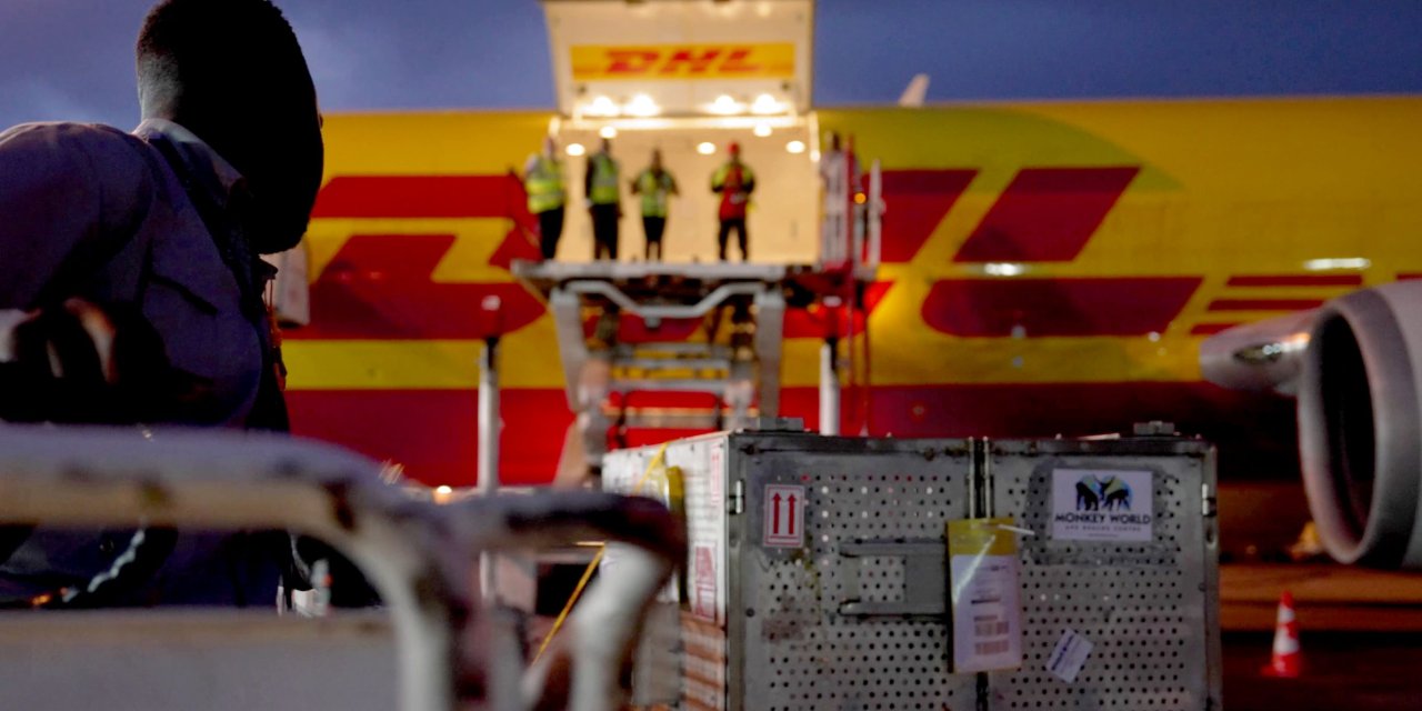 2024’ün en sıra dışı DHL teslimatları