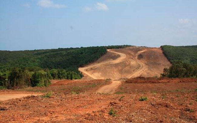 3. köprü için 2,7 milyon ağaç kesilecek