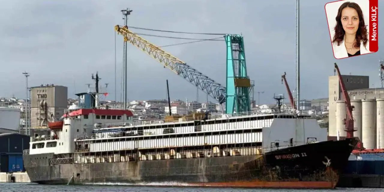 120 angus inek öldü, Bandırma Limanı'nda ağır koku var