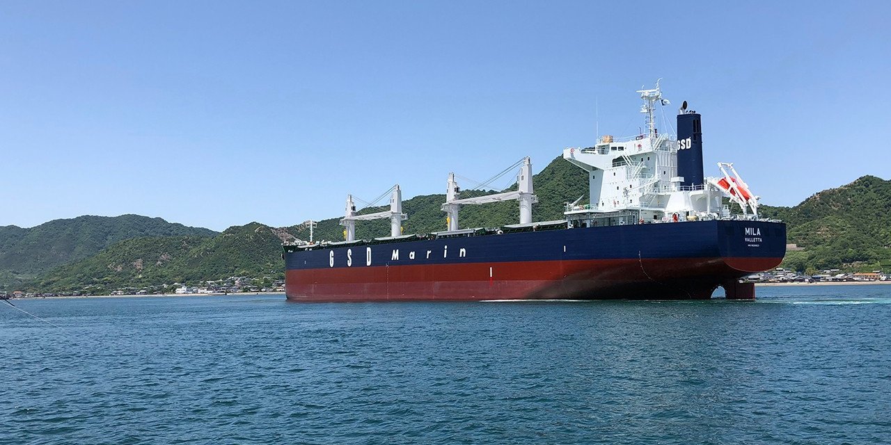 GSD Holding, kuru yük gemisi satın aldı