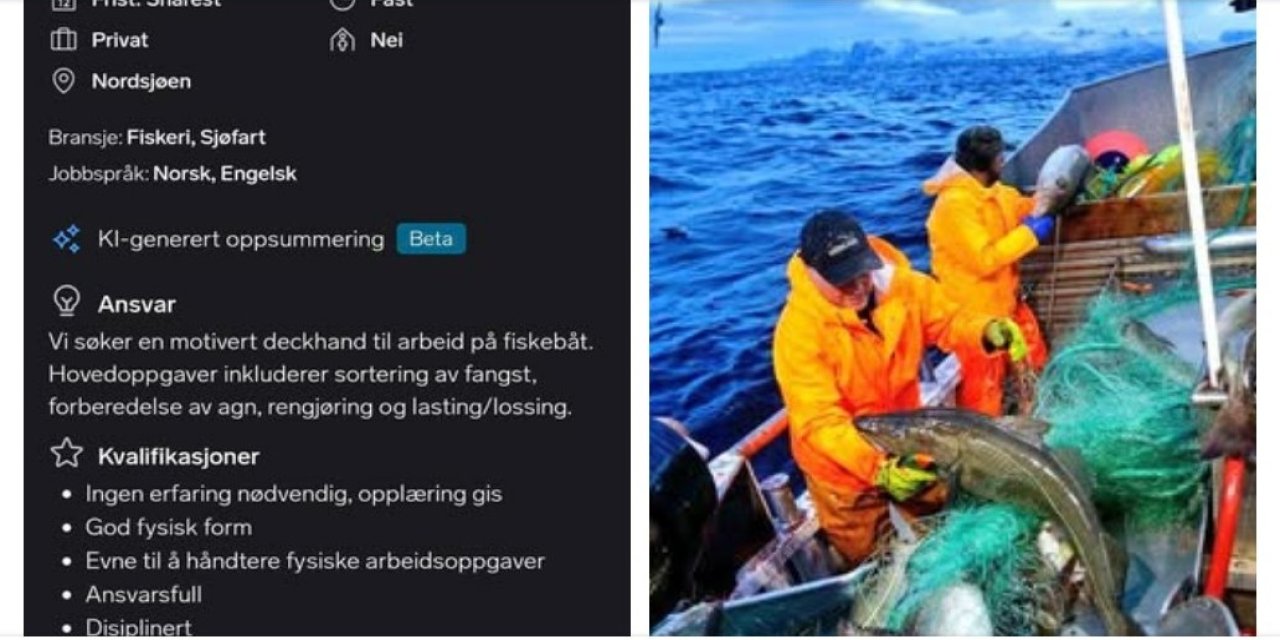 Norveç’te 7 bin Euro kazanılabilecek iş imkanı