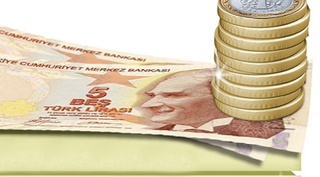 % 3. 93’lük sektör ve yöneticilik