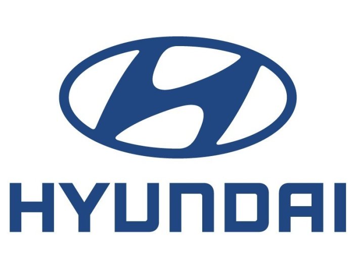 Hyundai'de grev sona erdi