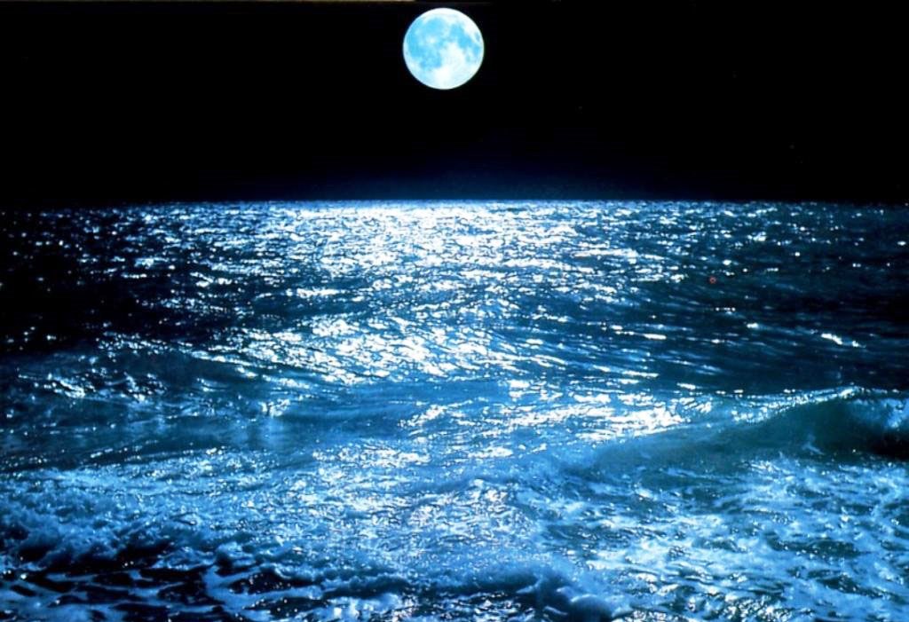 Dalgalarla düet şöleni